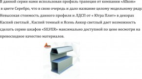 Шкаф-купе 2250 серии SILVER S3+S1+S3Z B22+PL2 (по 2 ящика лев/прав+1штанга+1 полка) профиль «Серебро» в Советском - sovetskiy.ok-mebel.com | фото 4