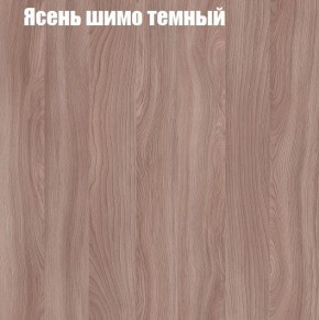 Шкаф-купе «ТАНДЕМ» 2-х дверный в алюминиевом профиле (Дверь К+К) 1200/h2200 в Советском - sovetskiy.ok-mebel.com | фото 7