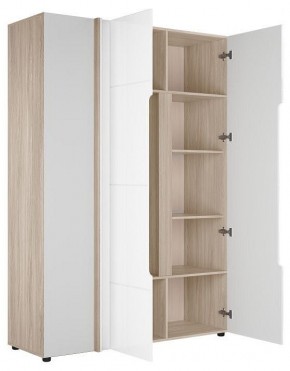 Шкаф платяной Данк в Советском - sovetskiy.ok-mebel.com | фото 2