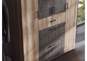 Шкаф платяной Паркинс в Советском - sovetskiy.ok-mebel.com | фото 3