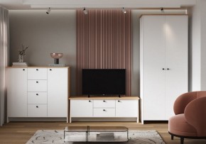 Шкаф платяной Теодора в Советском - sovetskiy.ok-mebel.com | фото 4