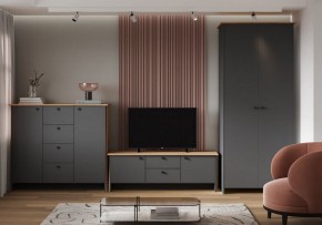 Шкаф платяной Теодора в Советском - sovetskiy.ok-mebel.com | фото 3