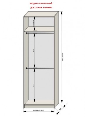 Шкаф распашной серия «ЗЕВС» (PL3/С1/PL2) в Советском - sovetskiy.ok-mebel.com | фото 12