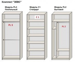 Шкаф распашной серия «ЗЕВС» (PL3/С1/PL2) в Советском - sovetskiy.ok-mebel.com | фото 2