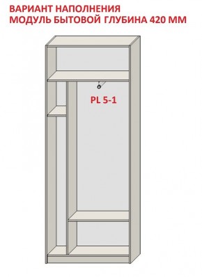 Шкаф распашной серия «ЗЕВС» (PL3/С1/PL2) в Советском - sovetskiy.ok-mebel.com | фото 4