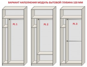 Шкаф распашной серия «ЗЕВС» (PL3/С1/PL2) в Советском - sovetskiy.ok-mebel.com | фото 5