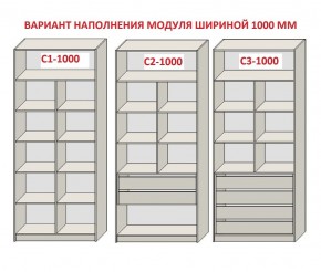 Шкаф распашной серия «ЗЕВС» (PL3/С1/PL2) в Советском - sovetskiy.ok-mebel.com | фото 7