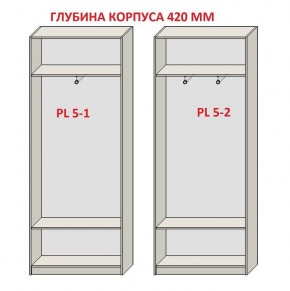 Шкаф распашной серия «ЗЕВС» (PL3/С1/PL2) в Советском - sovetskiy.ok-mebel.com | фото 8