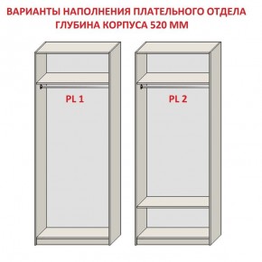 Шкаф распашной серия «ЗЕВС» (PL3/С1/PL2) в Советском - sovetskiy.ok-mebel.com | фото 9