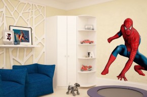 Шкаф угловой Мария 880*880 (ЛДСП 1 кат.) в Советском - sovetskiy.ok-mebel.com | фото 4