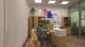 Шкафы для документов Р.Ш-4СБ в Советском - sovetskiy.ok-mebel.com | фото 5