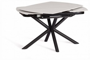 Стол обеденный Winston в Советском - sovetskiy.ok-mebel.com | фото 5