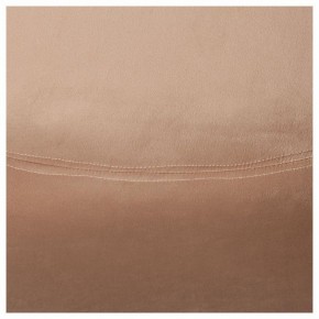 Стул Cindy Soft (mod. C1021F1-1) в Советском - sovetskiy.ok-mebel.com | фото 9