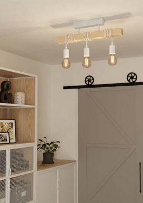 Светильник на штанге Eglo TOWNSHEND 44082 в Советском - sovetskiy.ok-mebel.com | фото 2