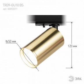 Светильник на штанге Эра  TR39-GU10 BS в Советском - sovetskiy.ok-mebel.com | фото 6