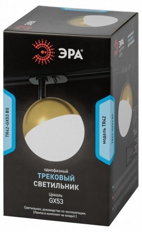 Светильник на штанге Эра  TR42-GX53 BS в Советском - sovetskiy.ok-mebel.com | фото 6