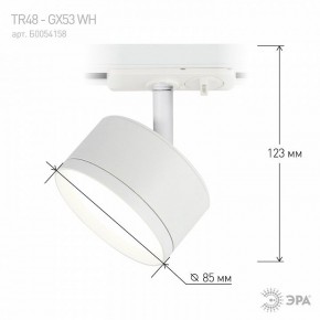 Светильник на штанге Эра  TR48 - GX53 WH в Советском - sovetskiy.ok-mebel.com | фото 4