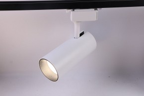 Светильник на штанге Эра  TR5-30 COB WH в Советском - sovetskiy.ok-mebel.com | фото 2