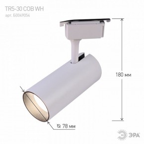 Светильник на штанге Эра  TR5-30 COB WH в Советском - sovetskiy.ok-mebel.com | фото 6