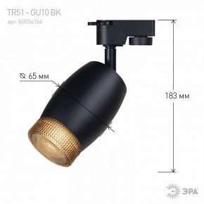 Светильник на штанге Эра  TR51 - GU10 BK в Советском - sovetskiy.ok-mebel.com | фото 4