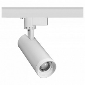 Светильник на штанге Эра  TR59 - 2030 WH в Советском - sovetskiy.ok-mebel.com | фото