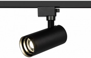 Светильник на штанге Эра  TR59 - 2040 BK в Советском - sovetskiy.ok-mebel.com | фото 5