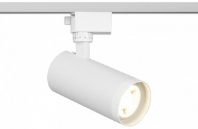 Светильник на штанге Эра  TR59 - 2040 WH в Советском - sovetskiy.ok-mebel.com | фото