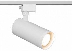 Светильник на штанге Эра  TR59 - 3030 WH в Советском - sovetskiy.ok-mebel.com | фото