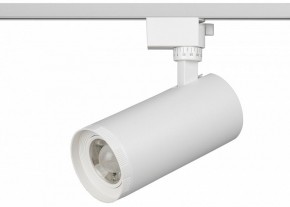 Светильник на штанге Эра  TR59 - 3030 WH в Советском - sovetskiy.ok-mebel.com | фото 2