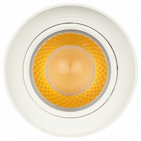 Светильник на штанге Эра  TR59 - 3030 WH в Советском - sovetskiy.ok-mebel.com | фото 3