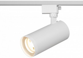 Светильник на штанге Эра  TR59 - 3030 WH в Советском - sovetskiy.ok-mebel.com | фото 5