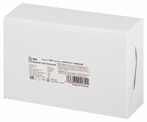Светильник на штанге Эра  TRM-S5-3-12W4K-BK в Советском - sovetskiy.ok-mebel.com | фото 8