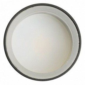 Светильник на штанге Feron ML1001 51371 в Советском - sovetskiy.ok-mebel.com | фото 4