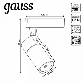 Светильник на штанге Gauss Track Light TR059 в Советском - sovetskiy.ok-mebel.com | фото 6