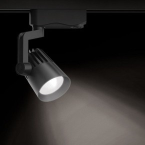 Светильник на штанге Gauss Track Light TR061 в Советском - sovetskiy.ok-mebel.com | фото 2