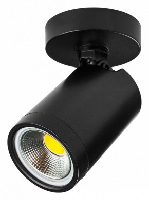 Светильник на штанге Lightstar Rullo 213407 в Советском - sovetskiy.ok-mebel.com | фото