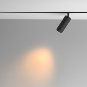 Светильник на штанге Maytoni Artisan TR097-2-12W2.7K-M-BB в Советском - sovetskiy.ok-mebel.com | фото 4