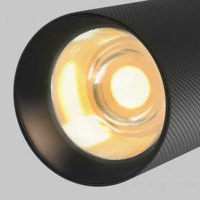 Светильник на штанге Maytoni Artisan TR097-2-12W2.7K-M-BB в Советском - sovetskiy.ok-mebel.com | фото 9
