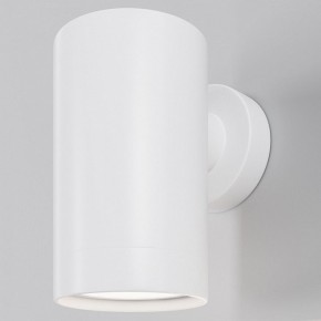 Светильник на штанге Maytoni Clyde O493WL-01W в Советском - sovetskiy.ok-mebel.com | фото