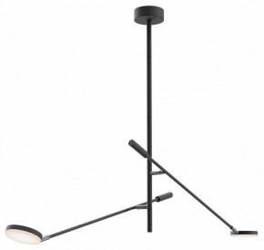 Светильник на штанге Maytoni Fad MOD070CL-L15B3K1 в Советском - sovetskiy.ok-mebel.com | фото