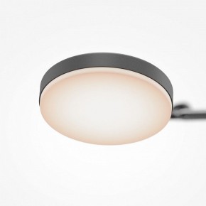 Светильник на штанге Maytoni Fad MOD070CL-L15B3K1 в Советском - sovetskiy.ok-mebel.com | фото 7