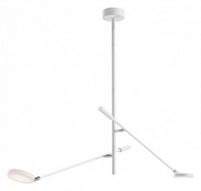 Светильник на штанге Maytoni Fad MOD070CL-L15W3K1 в Советском - sovetskiy.ok-mebel.com | фото