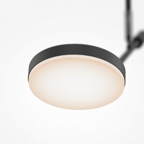 Светильник на штанге Maytoni Fad MOD070CL-L8B3K в Советском - sovetskiy.ok-mebel.com | фото 4
