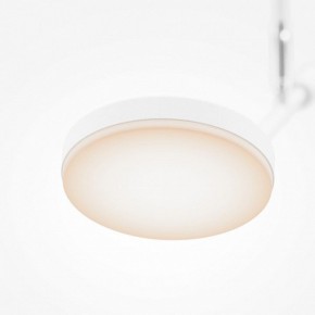 Светильник на штанге Maytoni Fad MOD070CL-L8W3K в Советском - sovetskiy.ok-mebel.com | фото 4