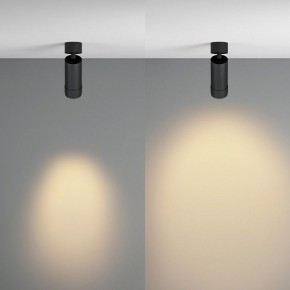 Светильник на штанге Maytoni Focus Zoom C055CL-L12W2.7K-Z-B в Советском - sovetskiy.ok-mebel.com | фото 3
