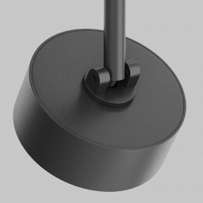 Светильник на штанге Maytoni Lens TR217-2-15W3K-B в Советском - sovetskiy.ok-mebel.com | фото 11