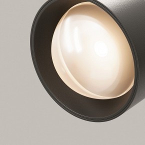Светильник на штанге Maytoni Lens TR217-2-15W3K-B в Советском - sovetskiy.ok-mebel.com | фото 12