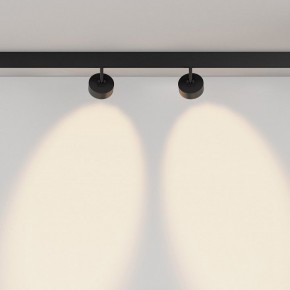 Светильник на штанге Maytoni Lens TR217-2-15W3K-B в Советском - sovetskiy.ok-mebel.com | фото 6