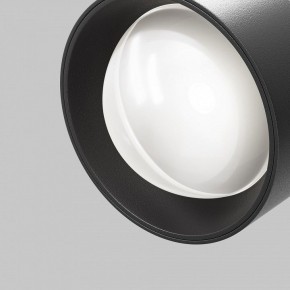 Светильник на штанге Maytoni Lens TR217-2-15W4K-B в Советском - sovetskiy.ok-mebel.com | фото 10