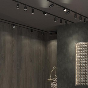 Светильник на штанге Novotech Elina 370777 в Советском - sovetskiy.ok-mebel.com | фото 4